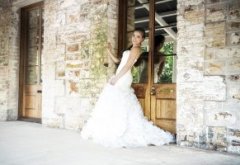 photo-Darwin Wedding Photographer